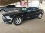 2013 FORD MUSTANG