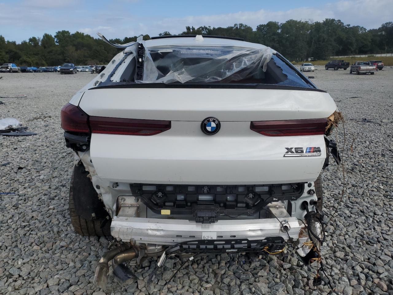 2026 BMW X6