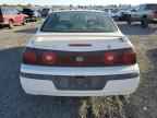 2021 CHEVROLET IMPALA