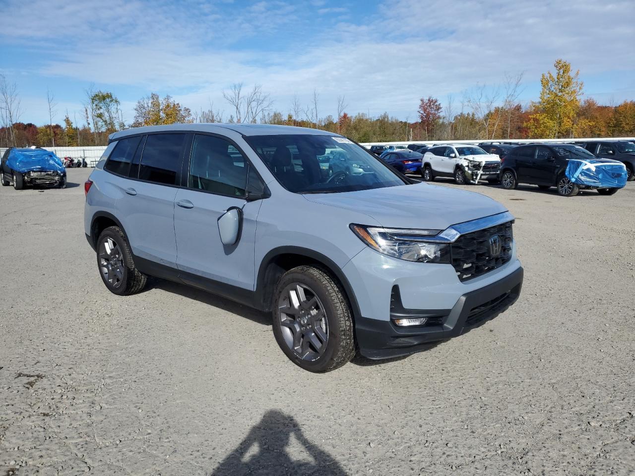 2023 HONDA Passport