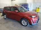 2025 KIA SOUL