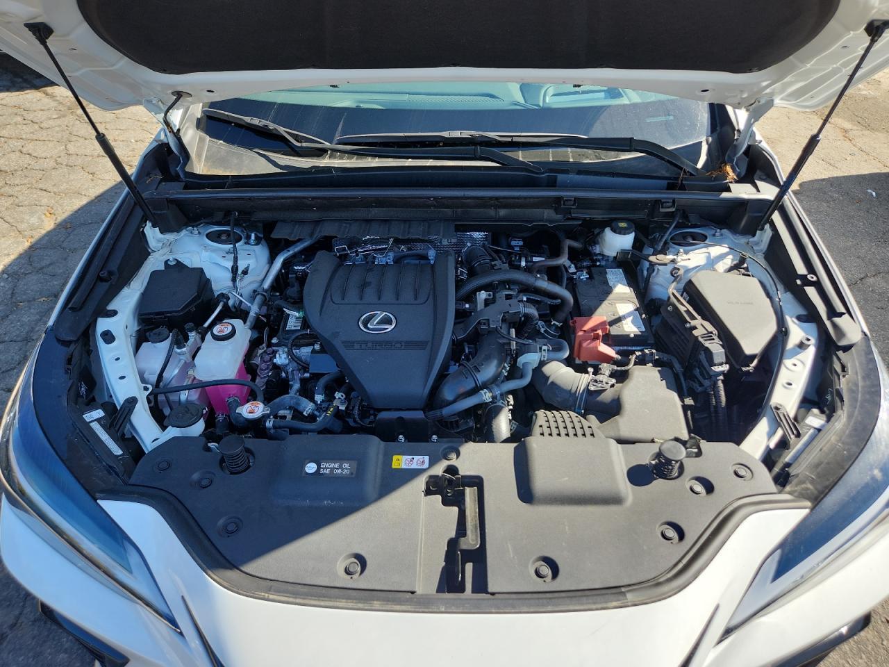 2024 LEXUS Nx