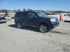 2013 HONDA PILOT