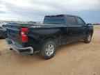 2023 CHEVROLET Silverado