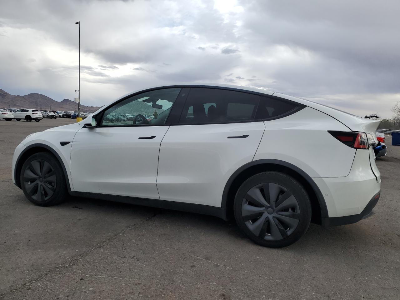 2020 TESLA MODEL Y