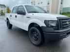 2009 FORD F-150