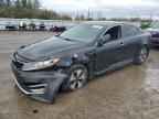 2012 KIA Optima Hybrid