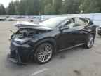 2024 LEXUS Nx