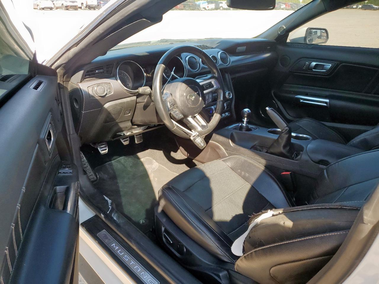 2019 FORD MUSTANG