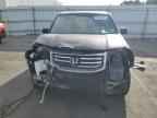 2013 HONDA PILOT