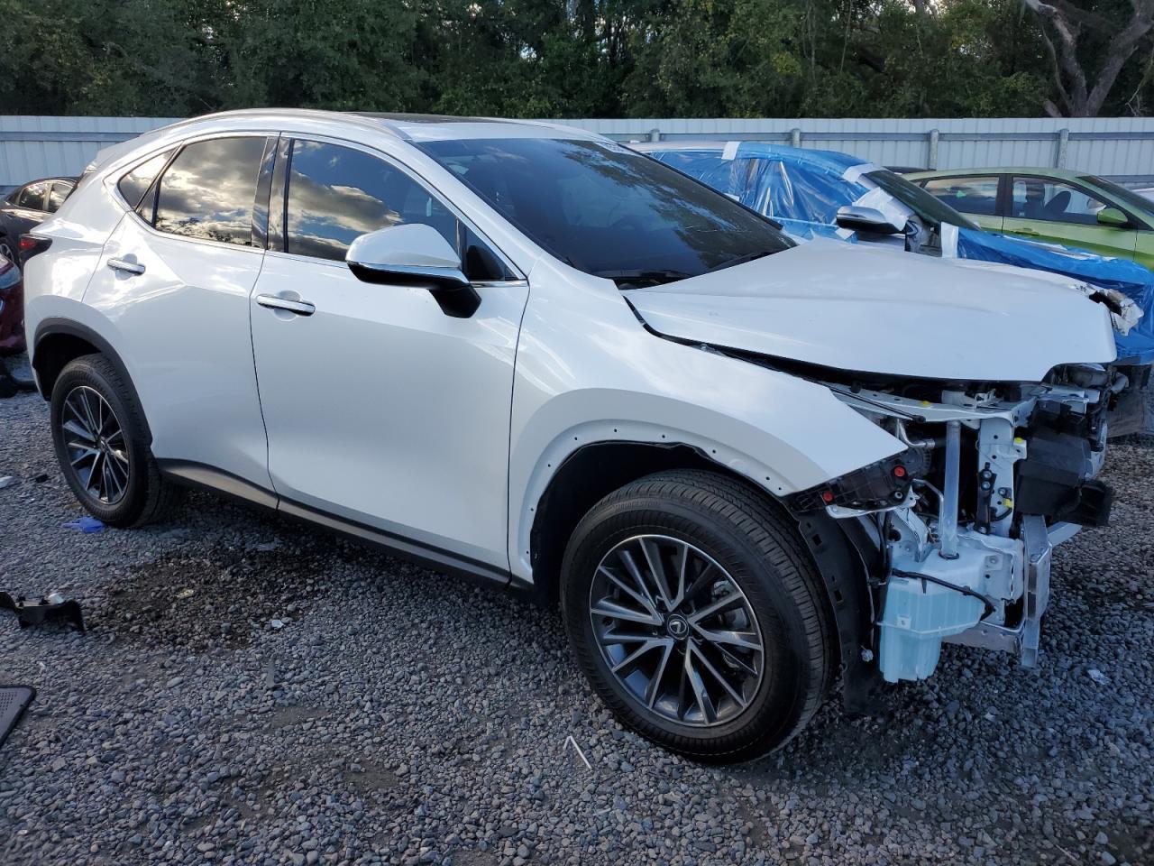 2025 LEXUS Nx