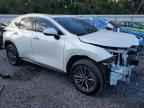 2025 LEXUS Nx