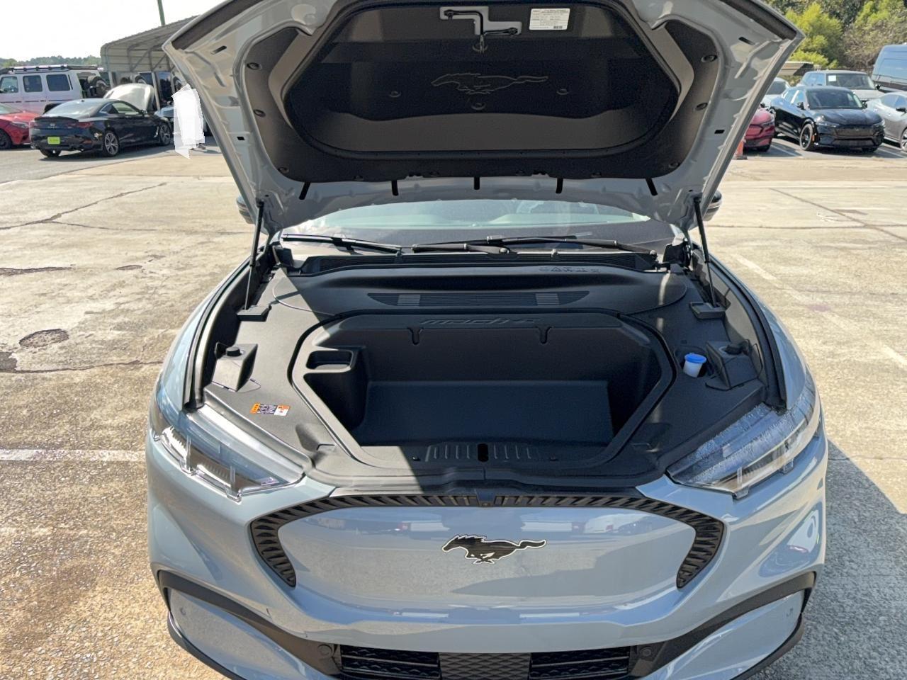 2025 FORD Mustang Mach-E