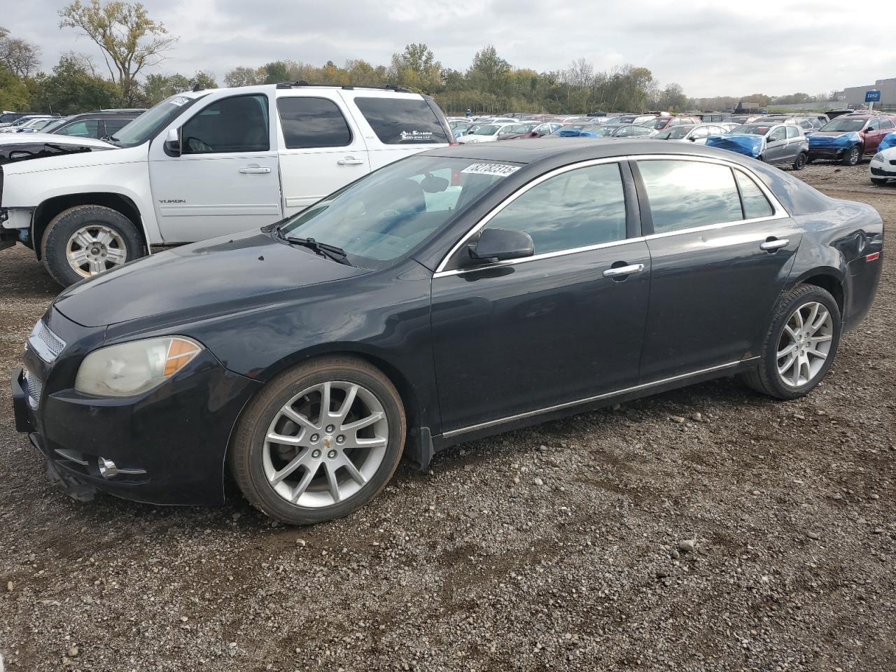2010 CHEVROLET MALIBU