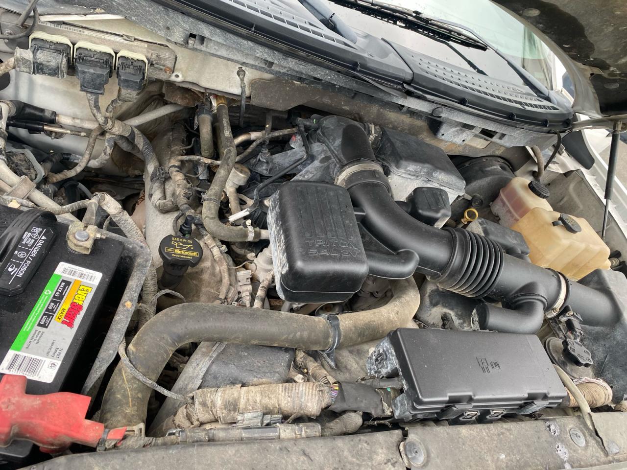 2009 FORD F-150