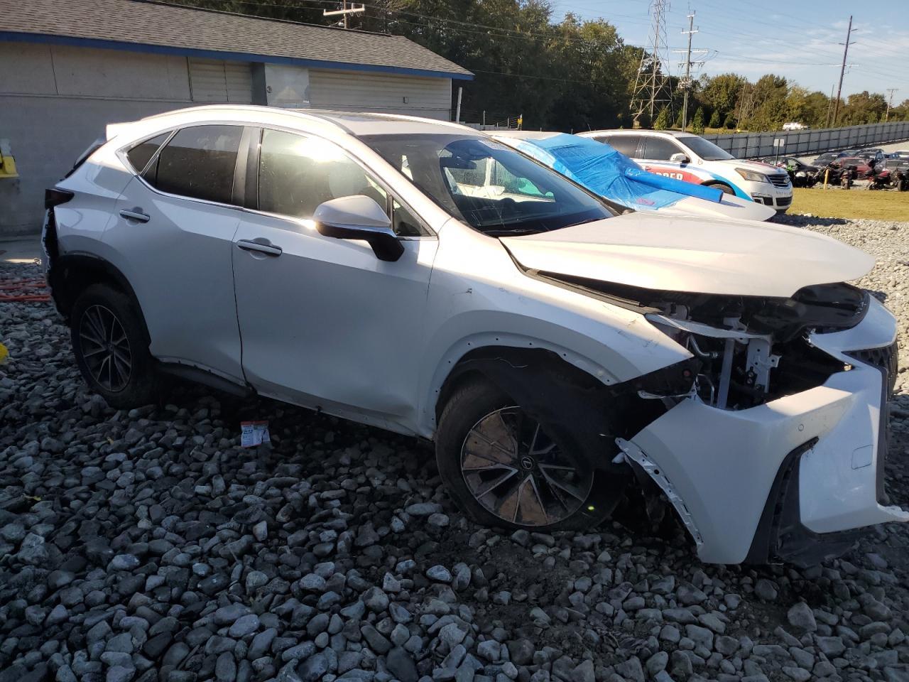 2025 LEXUS Nx