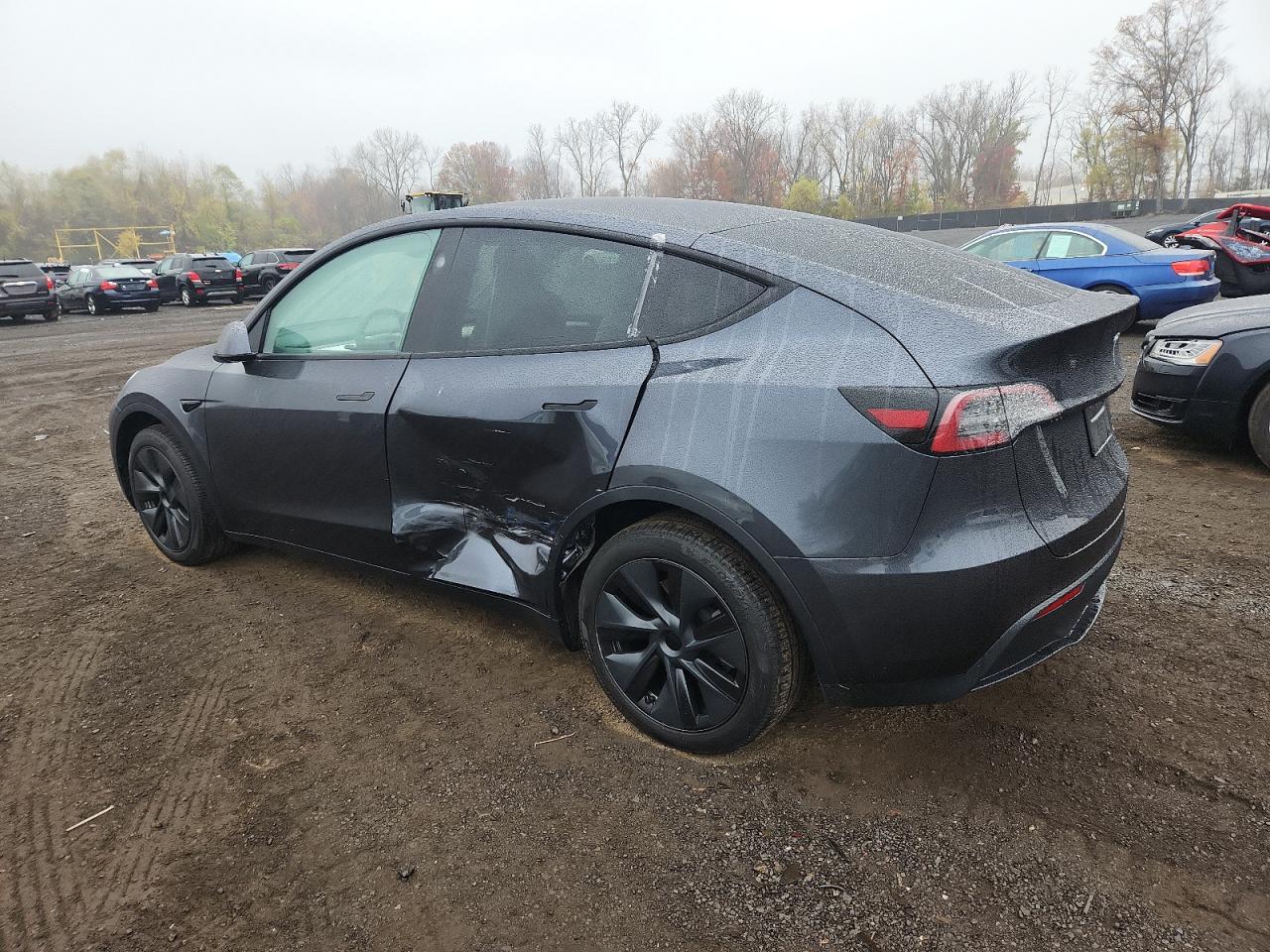 2025 TESLA MODEL Y