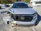 2024 HONDA PILOT