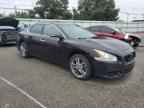 2010 NISSAN Maxima