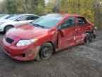 2010 TOYOTA COROLLA