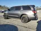 2019 TOYOTA Sequoia
