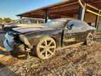 2013 DODGE Challenger
