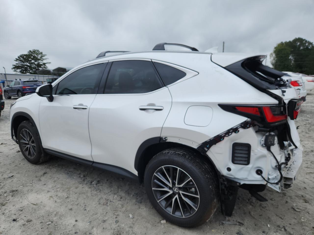 2025 LEXUS Nx