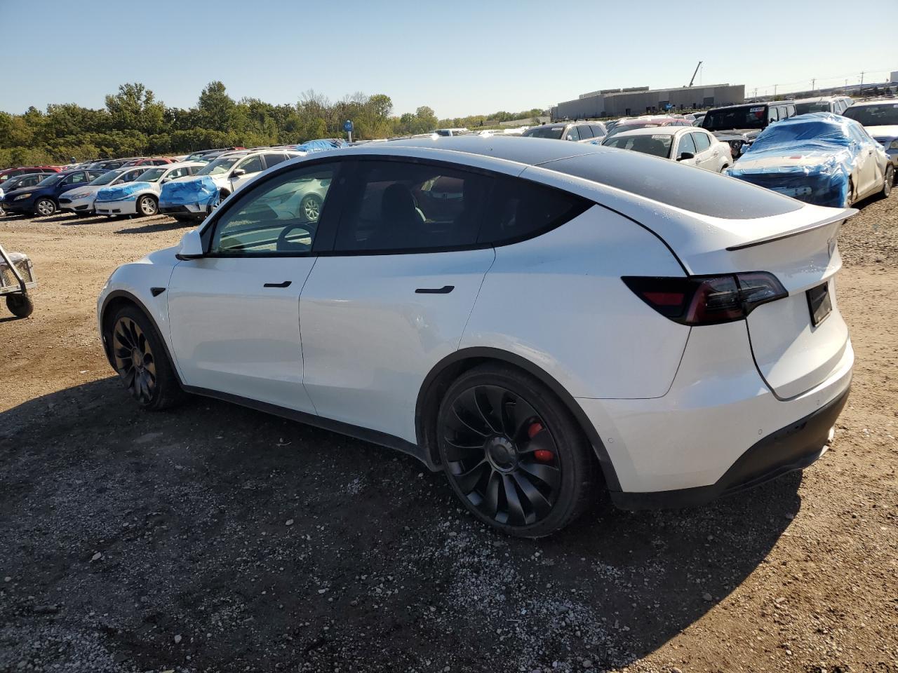 2022 TESLA MODEL Y