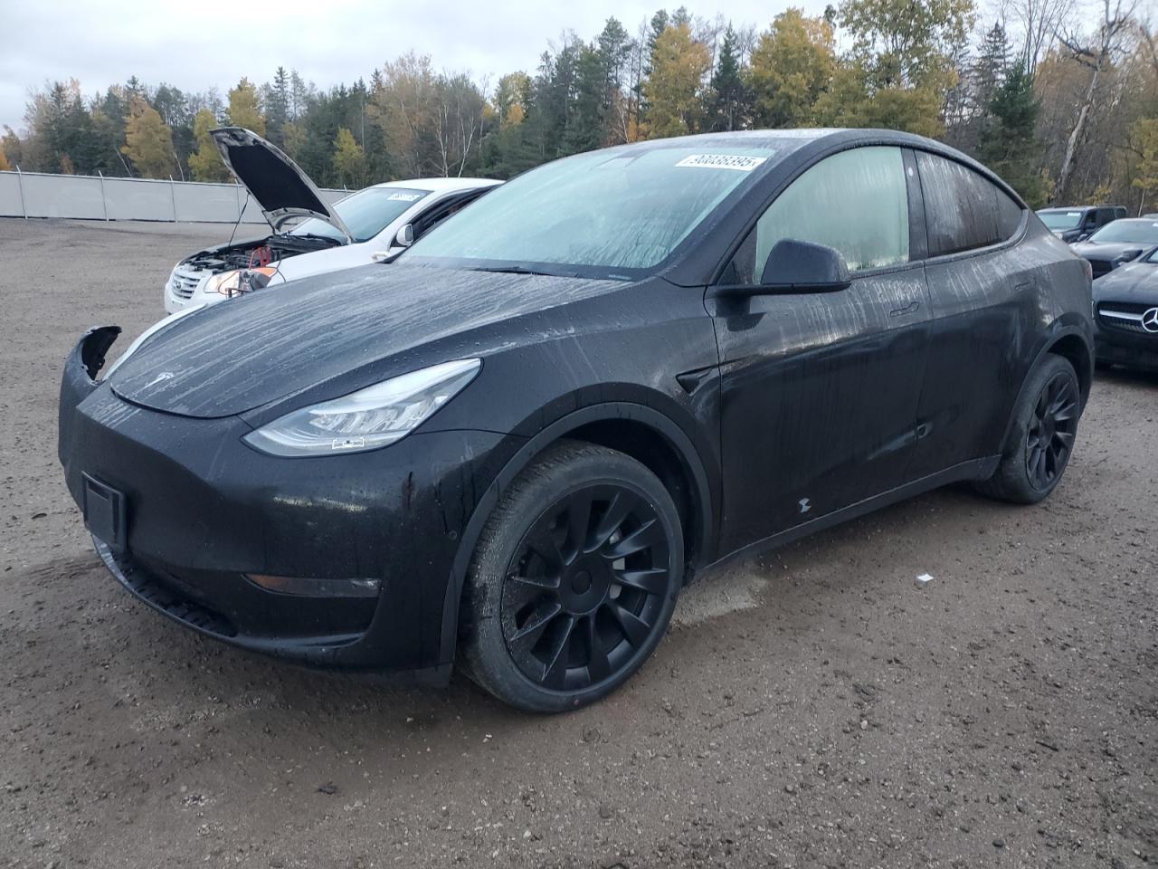 2021 TESLA MODEL Y