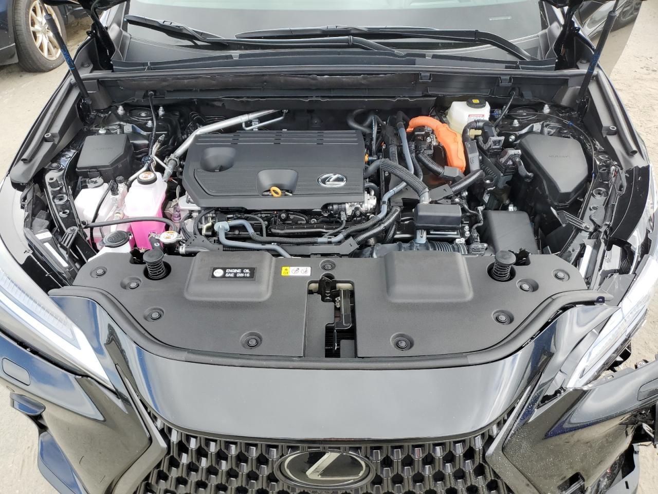 2026 LEXUS Nx