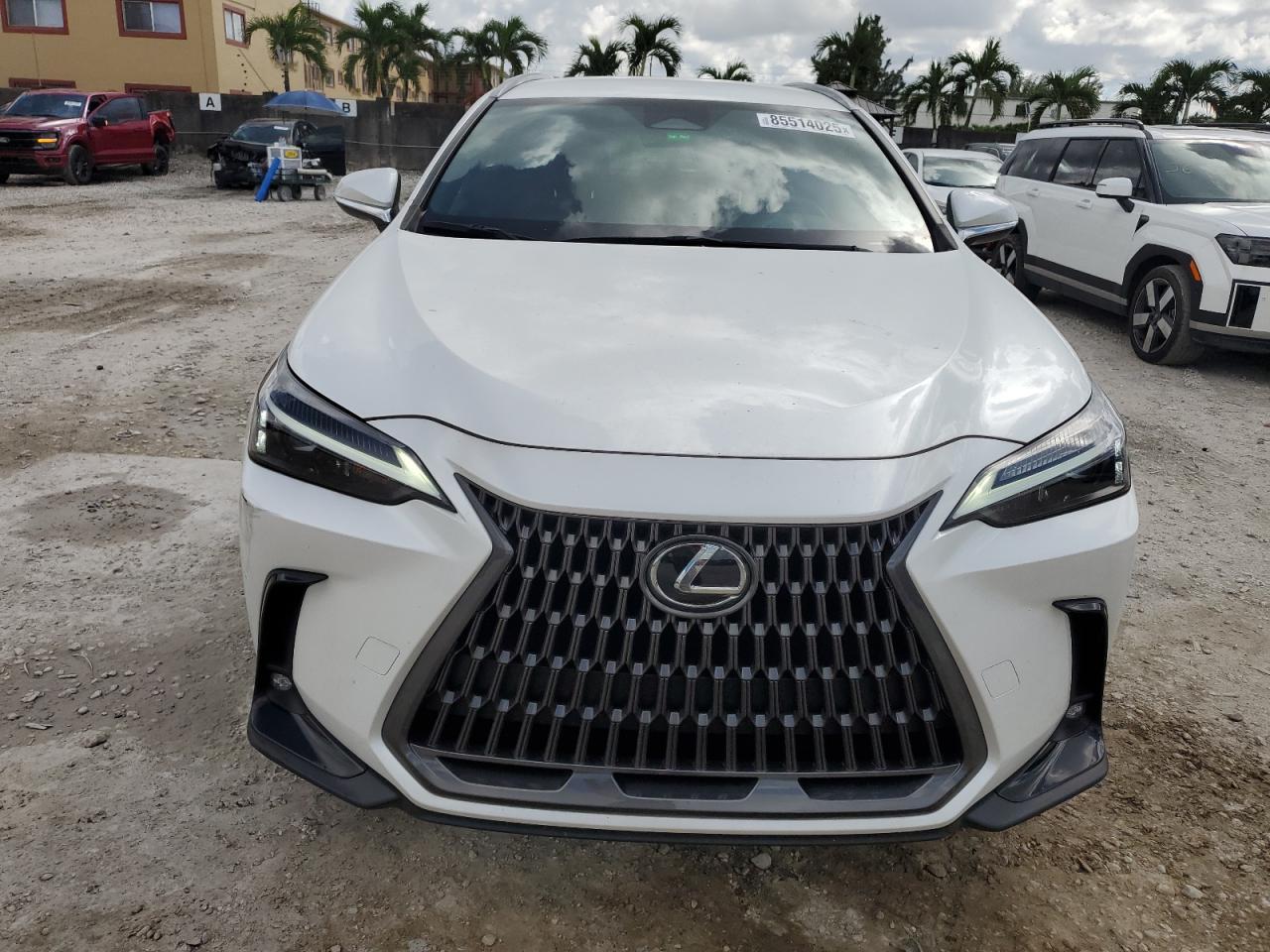 2024 LEXUS Nx