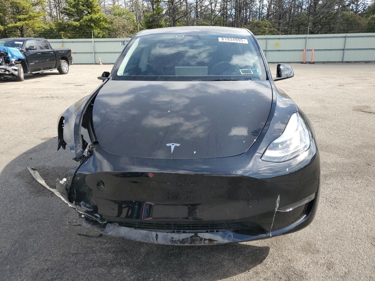 2025 TESLA MODEL Y