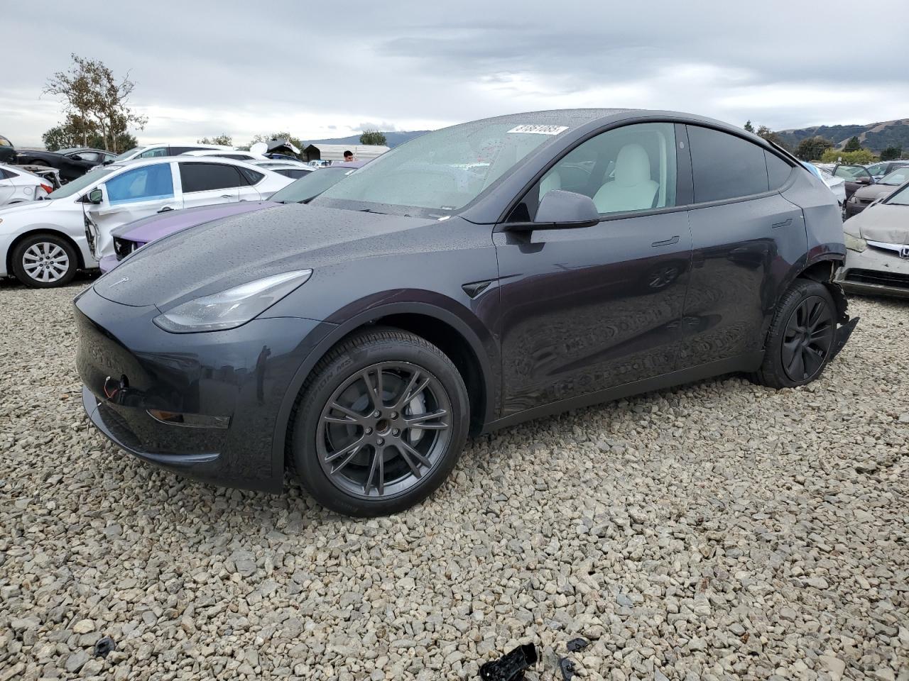 2025 TESLA MODEL Y