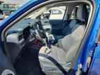 2023 FORD Maverick