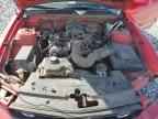 2009 FORD MUSTANG