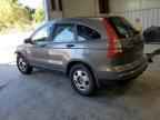 2010 HONDA CR-V