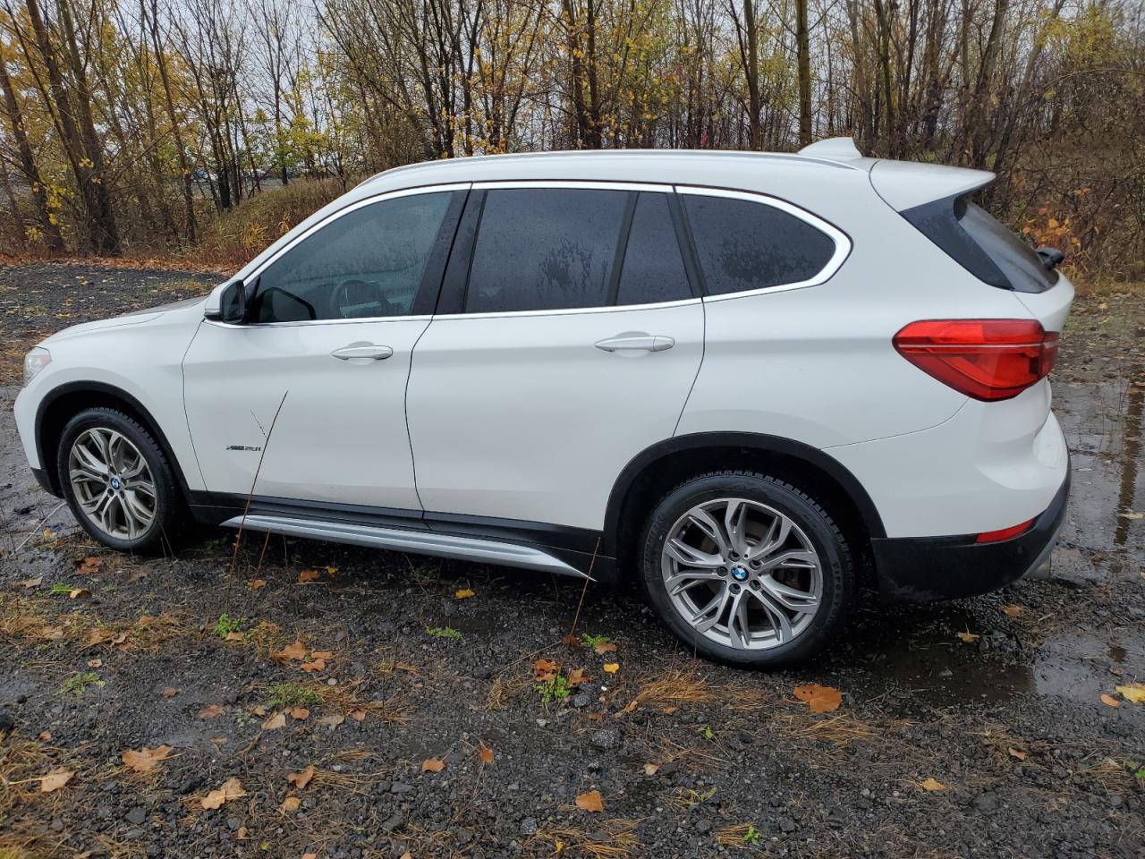 2017 BMW X1