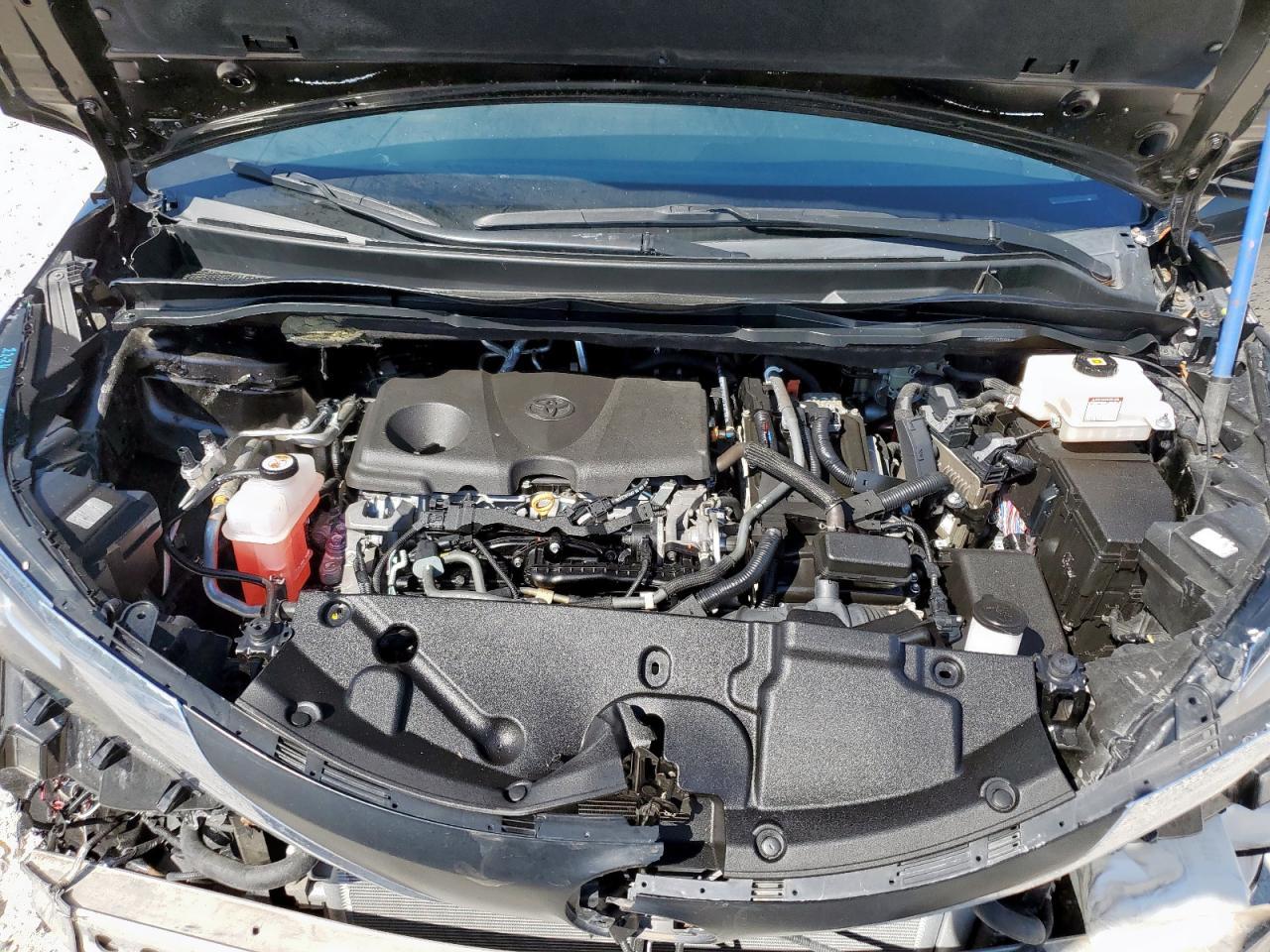2021 TOYOTA SIENNA
