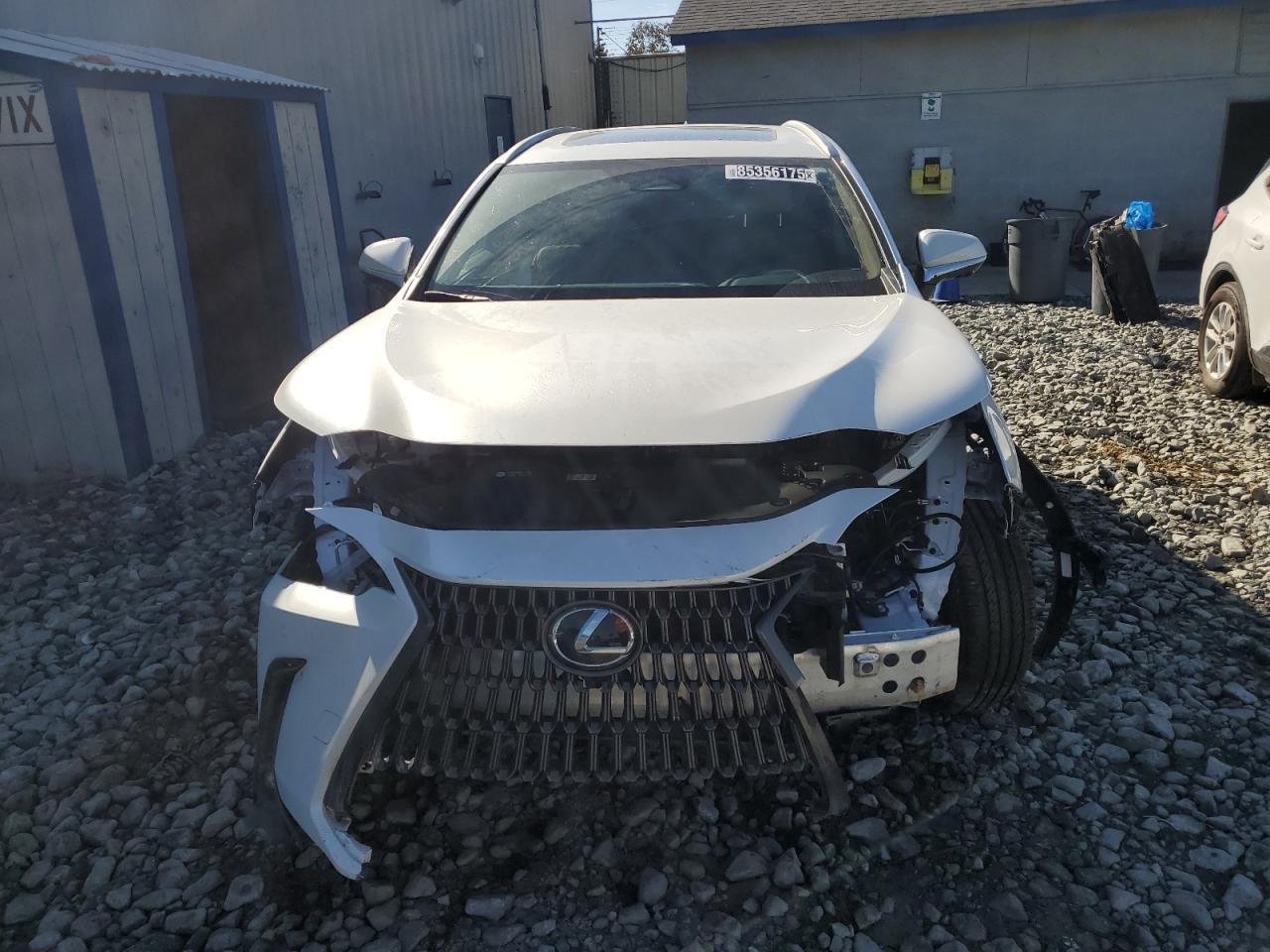2025 LEXUS Nx