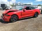2023 FORD MUSTANG