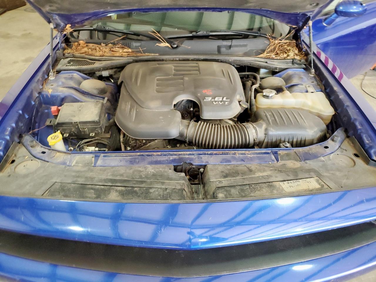 2019 DODGE Challenger
