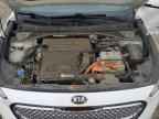 2019 KIA Niro