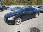 2013 NISSAN Maxima