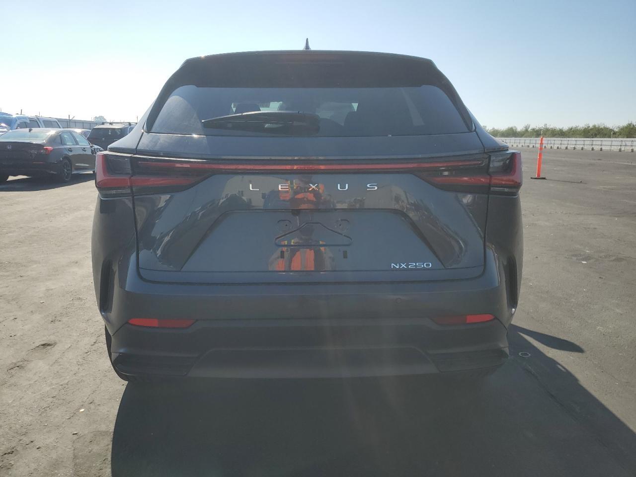 2025 LEXUS NX 250