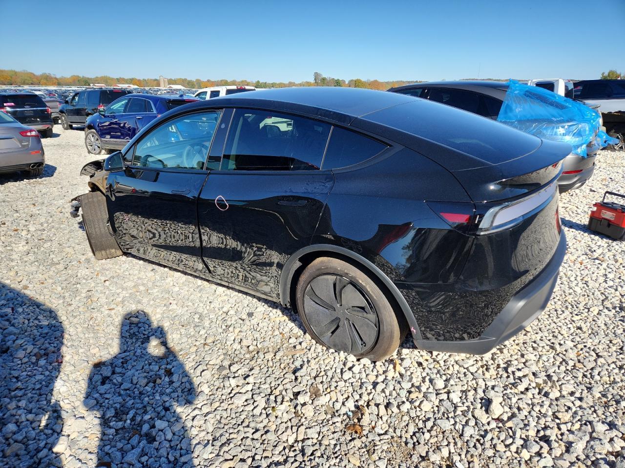 2026 TESLA MODEL Y