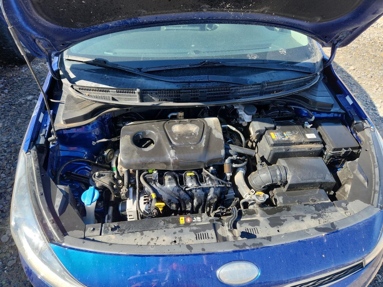 2019 KIA RIO