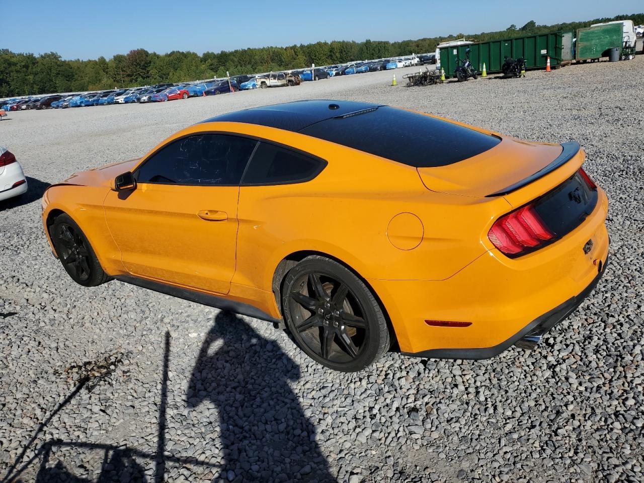 2019 FORD MUSTANG