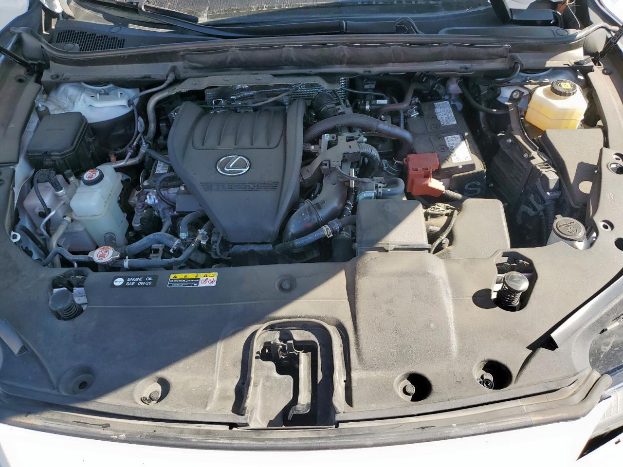 2024 LEXUS RX 350