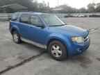 2010 FORD ESCAPE