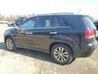 2011 KIA SORENTO